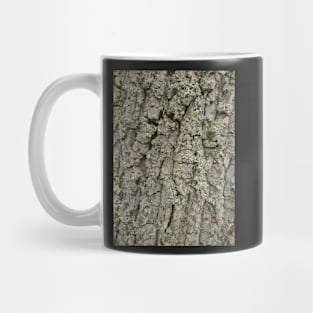 Tree bark and lichen texture Mug